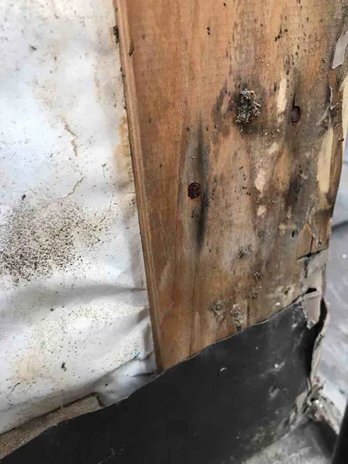 新発田市M様邸　外壁張替え中_柱の腐食