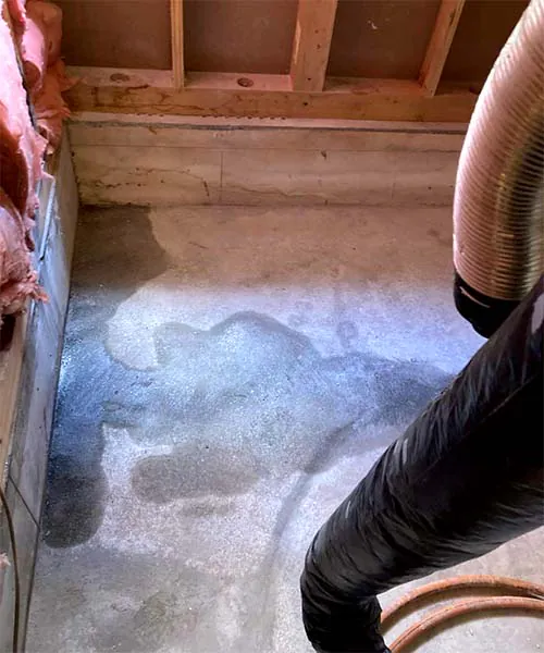 新潟市北区D様邸お風呂リフォーム前_水漏れあと