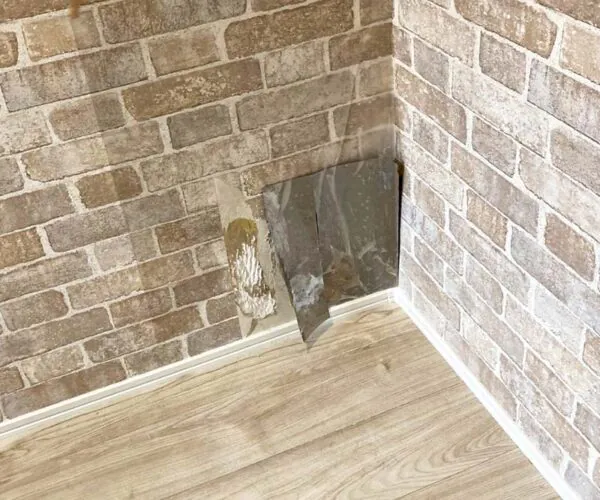 新潟市北区T様邸　ペット対応リフォーム事例　Before