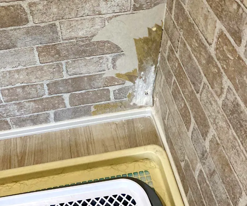 新潟市北区T様邸　ペット対応リフォーム前_石膏ボードが削れている