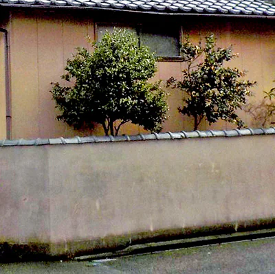 ブロック塀