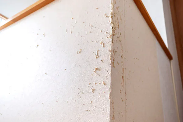 ペット対応リフォーム_傷だらけの壁