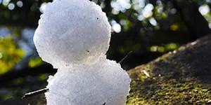 ザラメ雪
