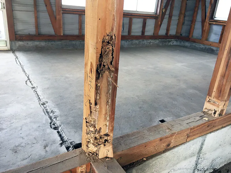 壁を撤去したこと新潟市北区Y様邸平屋リフォーム中_傷んだ柱