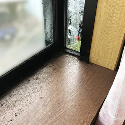 出窓の結露によって発生した黒カビ