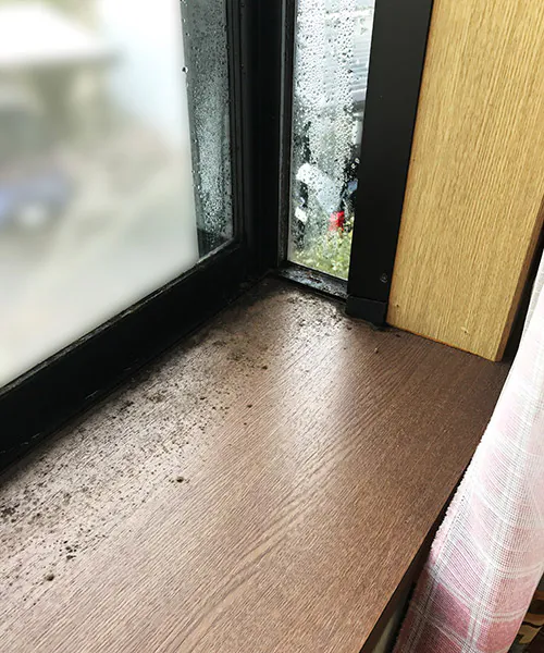 出窓の結露によって発生した黒カビ