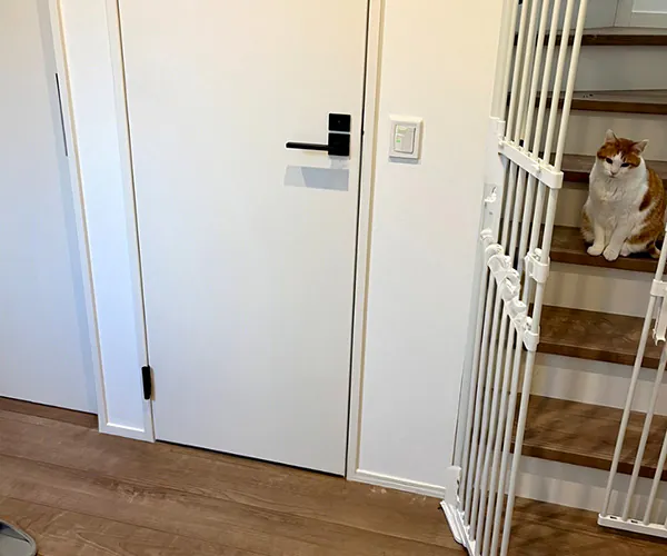 新潟市東区S様邸　内装リフォーム前_階段横の猫さん