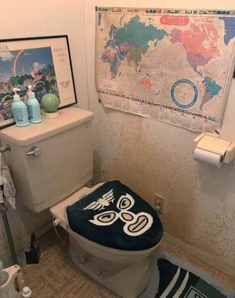 新潟市北区S様邸　屋根外壁リフォーム　Before