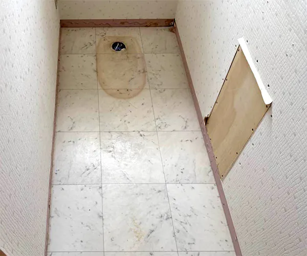 新潟市北区T様邸　トイレリフォーム中_便器を撤去
